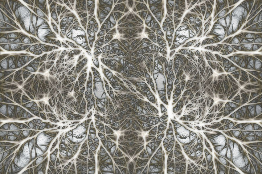 Нанопроводная «мозговая» сеть учится и запоминает «на лету»