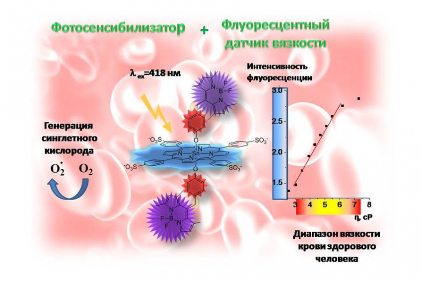 В 2 раза ярче: вращающаяся молекула гибридного красителя упростит диагностику заболеваний крови 
