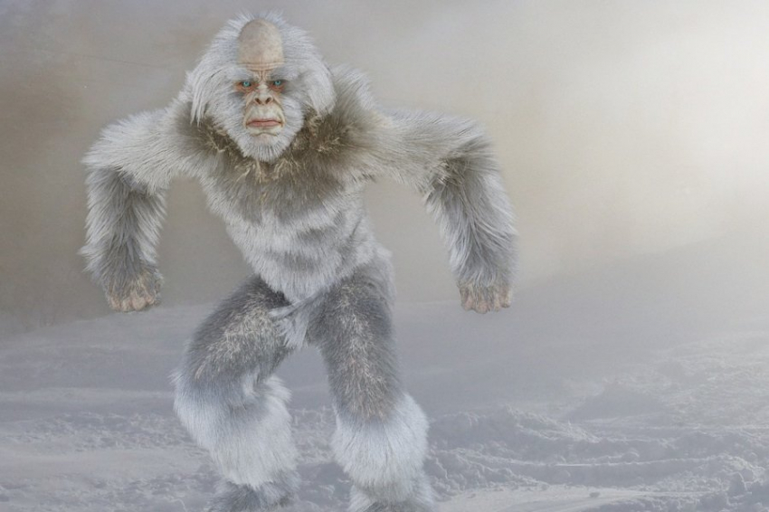 Live Science: обнаруженные в Гималаях волосы йети оказались лошадиными