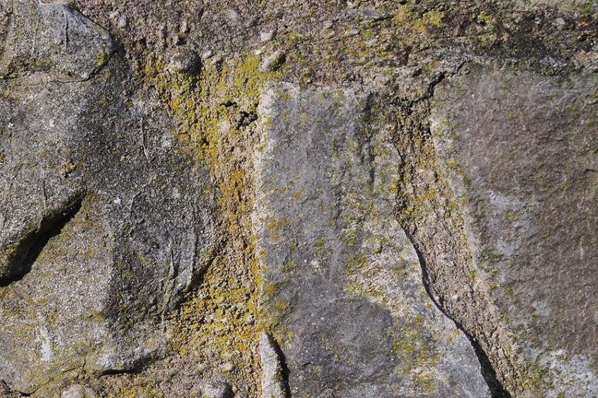 Редкая опухоль с зубами обнаружена в египетском захоронении 3000 лет назад