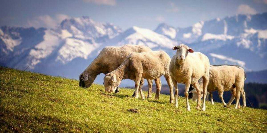 Приметы и поверья на 11 ноября 2023 года: стоит ли ждать беды?