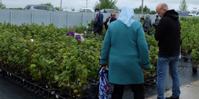 С Нового года пенсионерам прибавят по 20 тысяч рублей: что это значит и как повлияет на жизнь пожилых людей