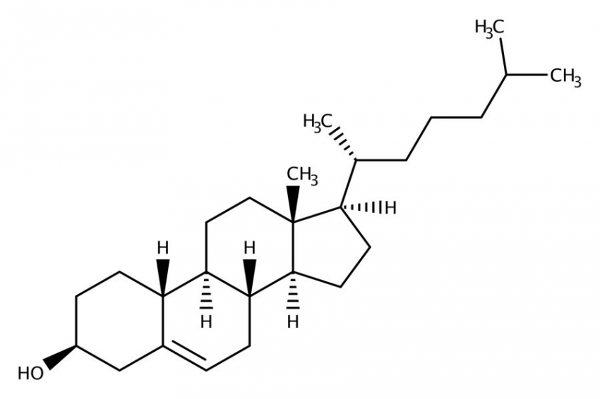 Ученые открыли способ снизить уровень холестерина посредством белков