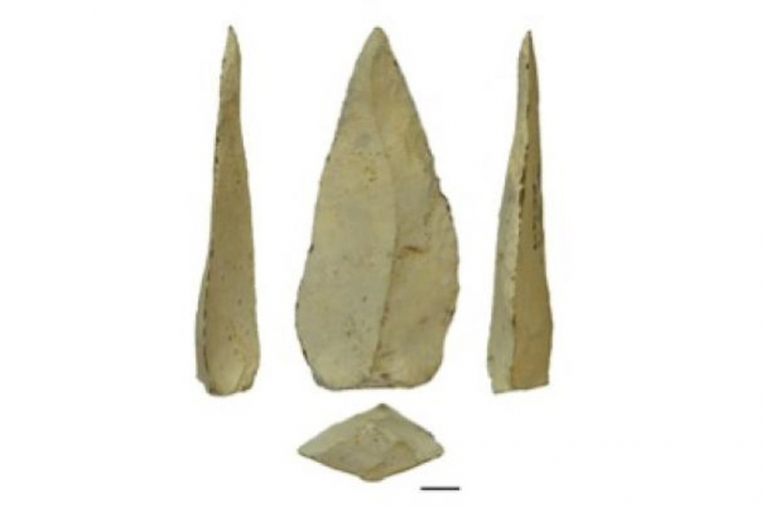 Ашельские рубила оказались древними лопатами для копания земли