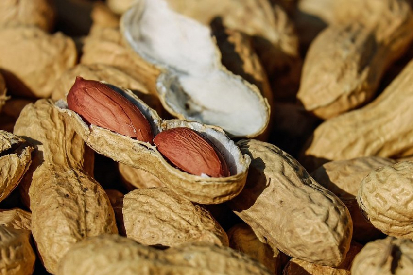 ACAAI: аллергия на арахис лечится с помощью зубной пасты