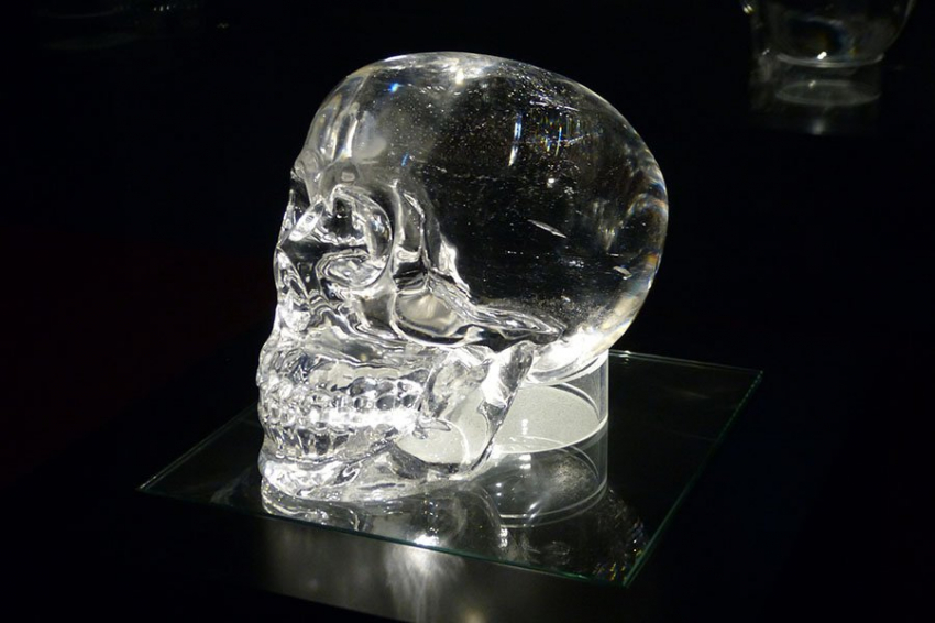 Ученые раскрыли сложную генетику, лежащую в основе формы свода черепа человека