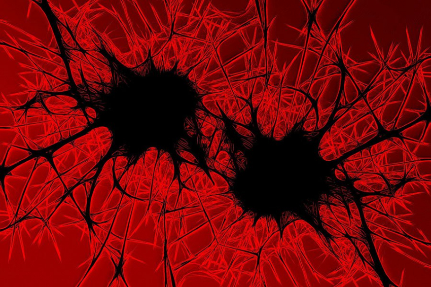 Ученые нашли в лаборатории «выключатель», который активирует смерть раковых клеток