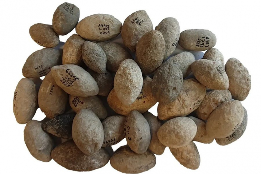 Старейший в мире завод по производству военного оружия существовал 7200 лет назад в Израиле