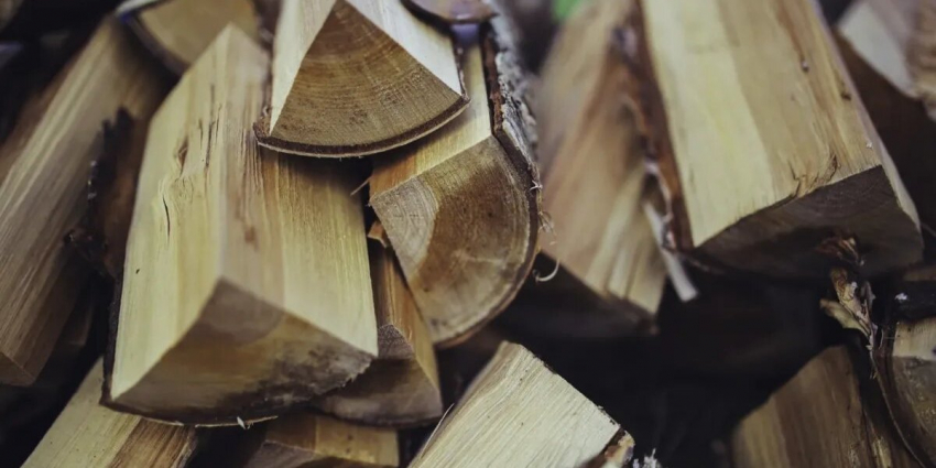 Семьи мобилизованных в Забайкалье не могут получить выплату в 4 тысячи рублей на дрова ─ льгота положена семьям живых на СВО