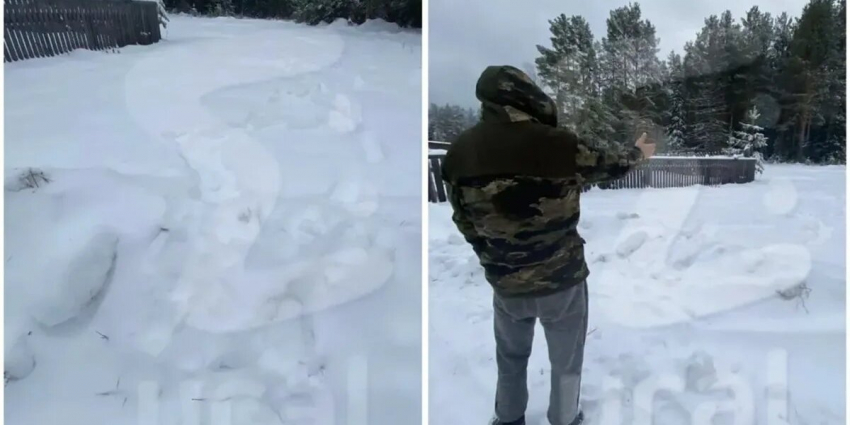 В Серове двухлетнюю девочку нашли в сугробе в памперсах — врачи борются за жизнь