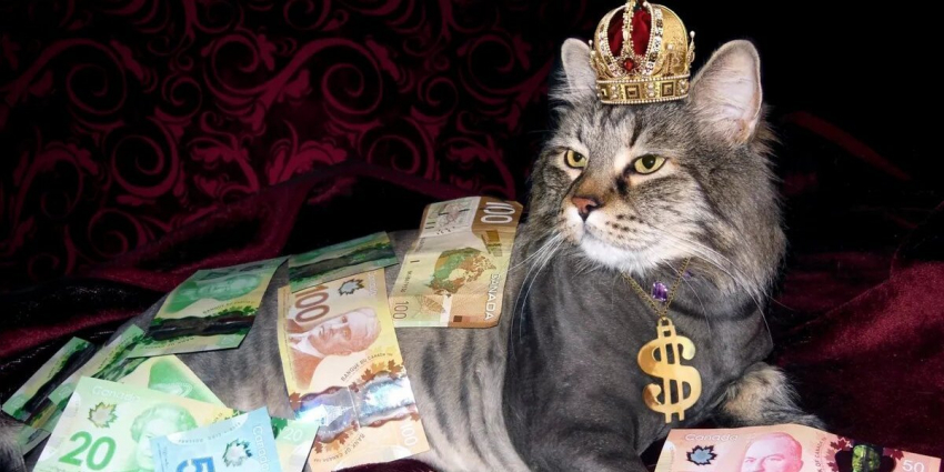 Как меняется жизнь 12 знаков зодиака с 27 ноября по 3 декабря, согласно картам Таро — еженедельный гороскоп судьбы