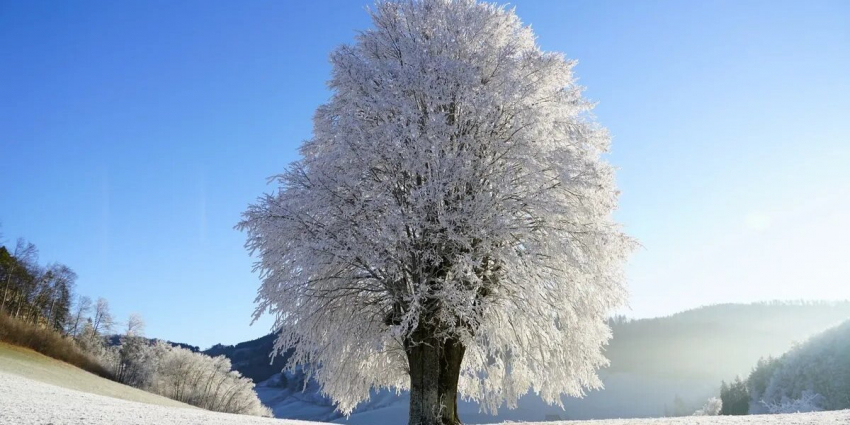 Приметы 30 ноября: как погода в этот день влияет на зиму и другие приметы