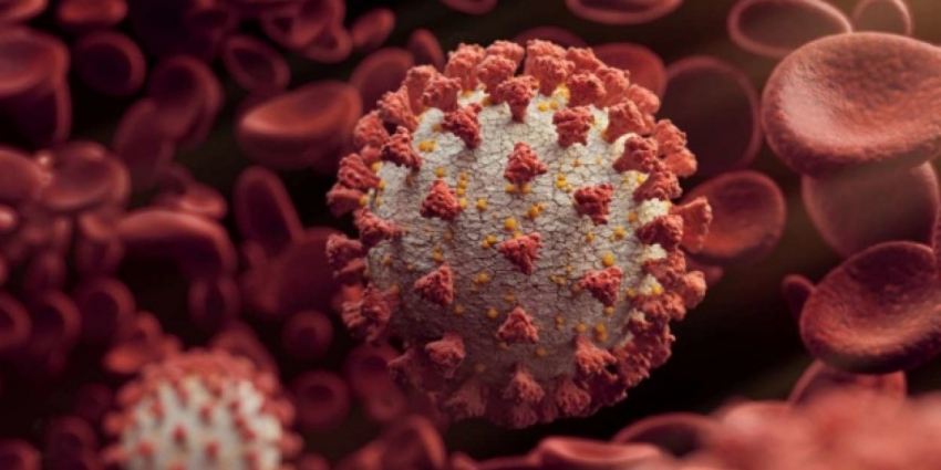 Новый вирус-мутант в Китае: угроза глобальной пандемии
