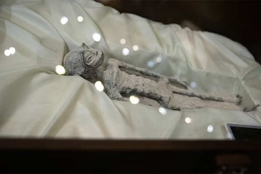 Энтузиаст НЛО утверждает, что мумифицированные «инопланетяне» из Перу на 30% содержат ДНК «неизвестного вида»