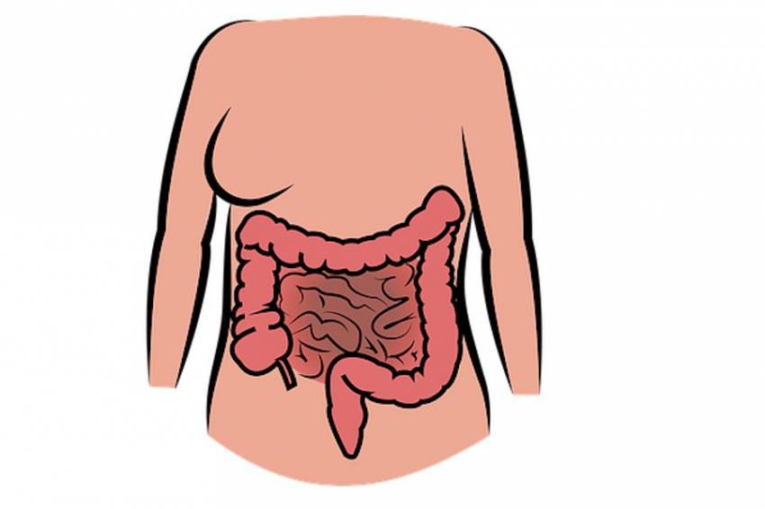 Acta Biomaterialia: учёные создали клейкий гель для эффективного лечения кишечных свищей