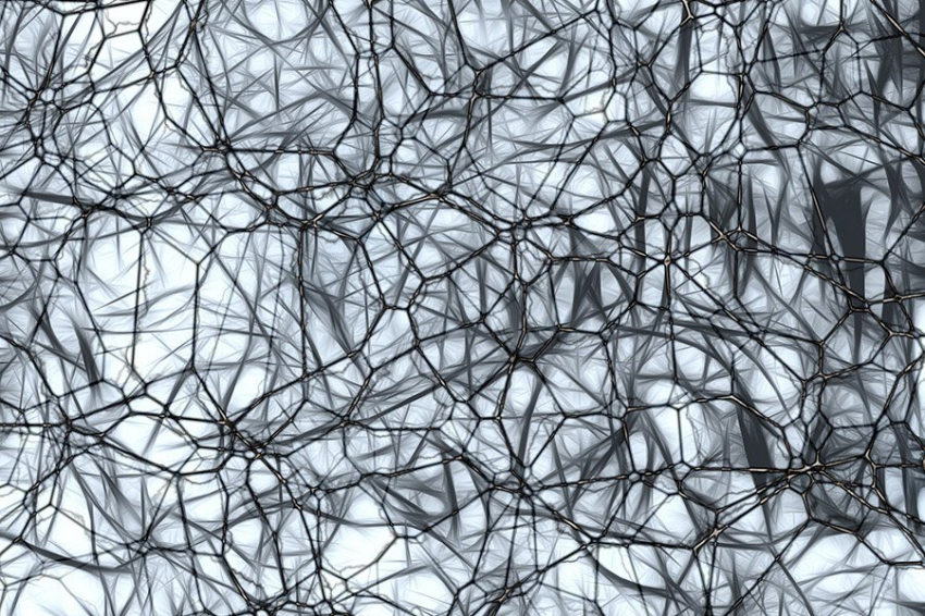 Новый математический подход дает представление о формировании памяти