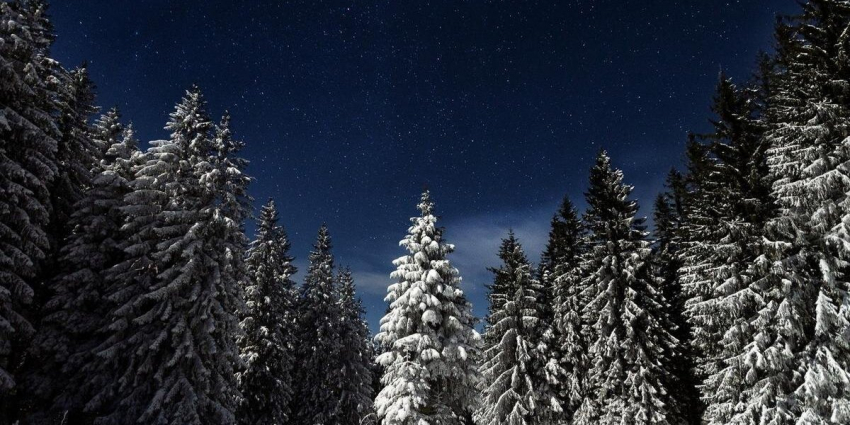 Первое Новолуние зимы 2023 года: время для внутренней работы, очищения и поддержки