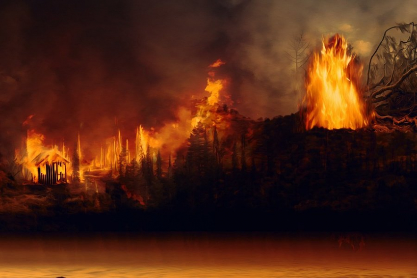 Ученые из Красноярска разработали прибор для оценки рисков лесных пожаров