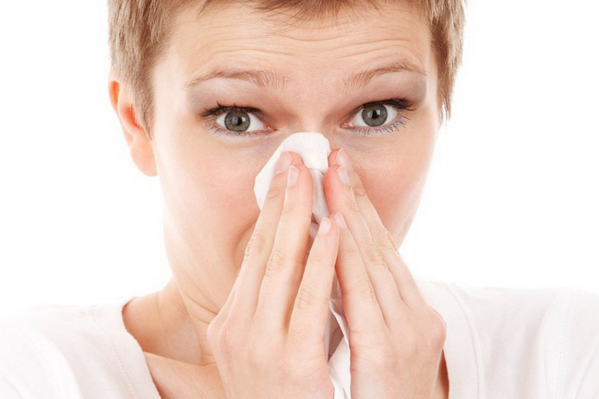 Осенняя аллергия: почему она может быть опаснее весенней