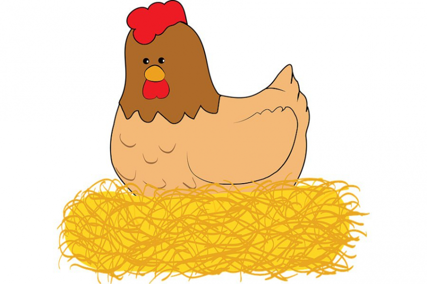 Разгадана древняя загадка про курицу и яйцо