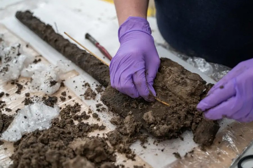 Редкое деревянное орудие бронзового века найдено в английской траншее