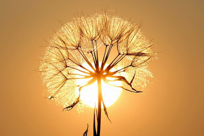 Эволюционный след солнечного света в развитии человечества