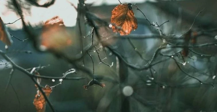 Суеверия, запреты и приметы на День Ионы, отмечаемый 18 ноября 2024 года