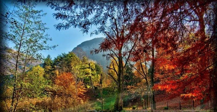 Праздники, которые отмечают 20 ноября 2024 года: Всемирный день ребенка, День педиатра и другие события