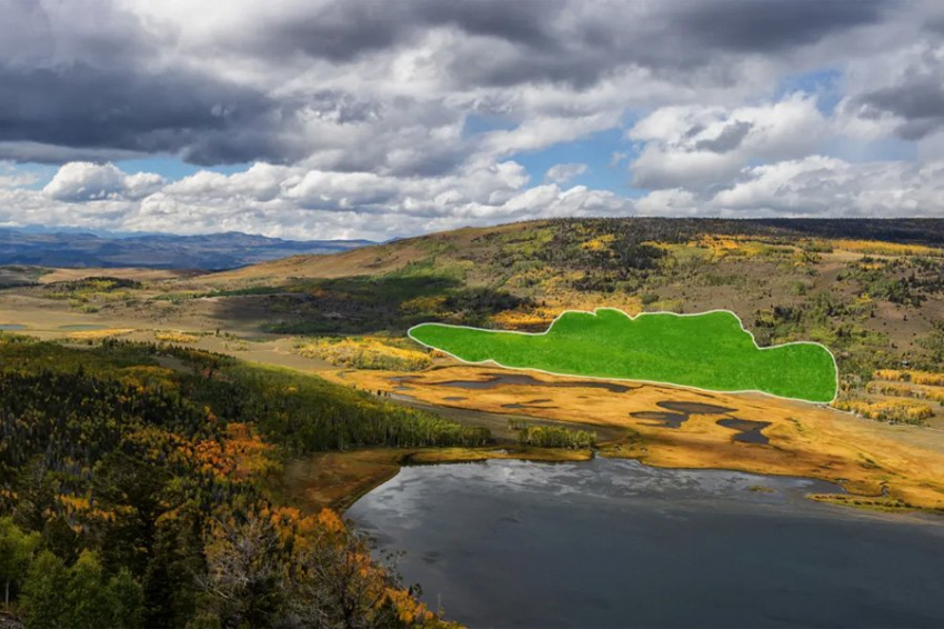 Гигантский осиновый сгусток в Юте является одним из древнейших организмов 