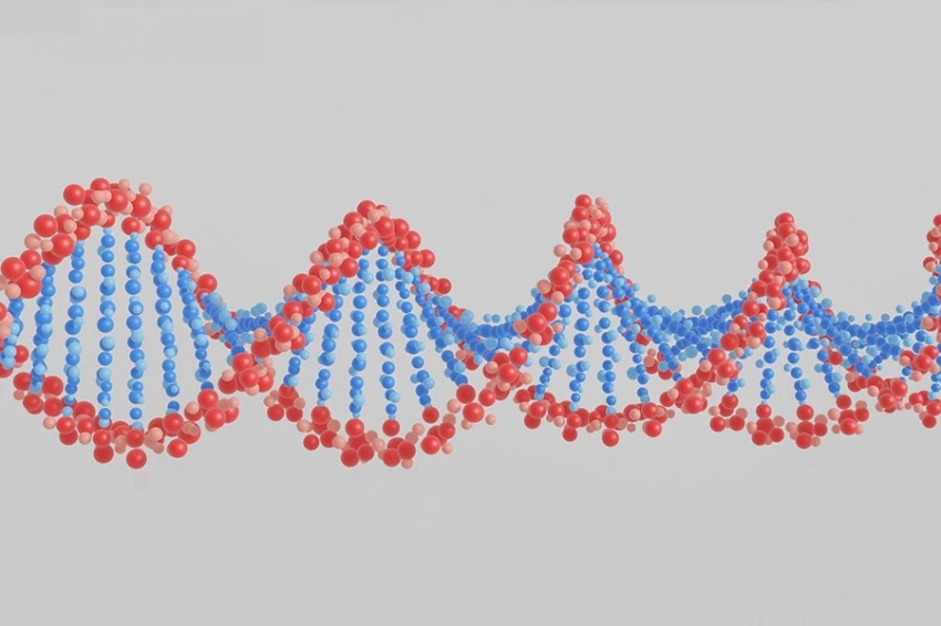 Методы на основе ДНК показали эффективность в идентификации видов насекомых