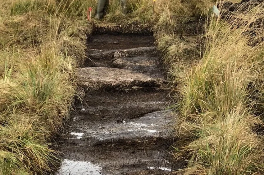 Обнаруженные в Англии 2 круга каменного века могли быть частью «священной дуги»