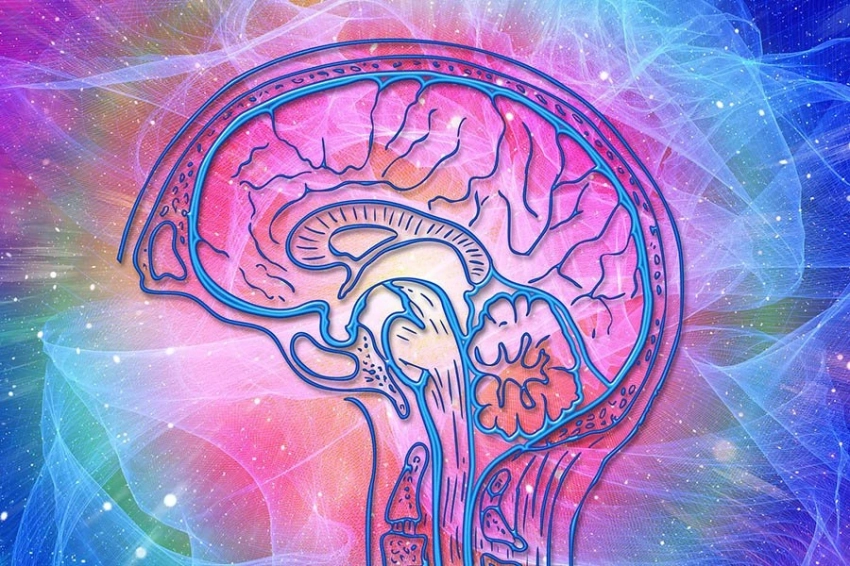 Медленный сон повышает когнитивные способности за счет синхронизации мозга