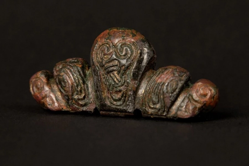 Первое в своем роде навершие меча викингов найдено в Нидерландах