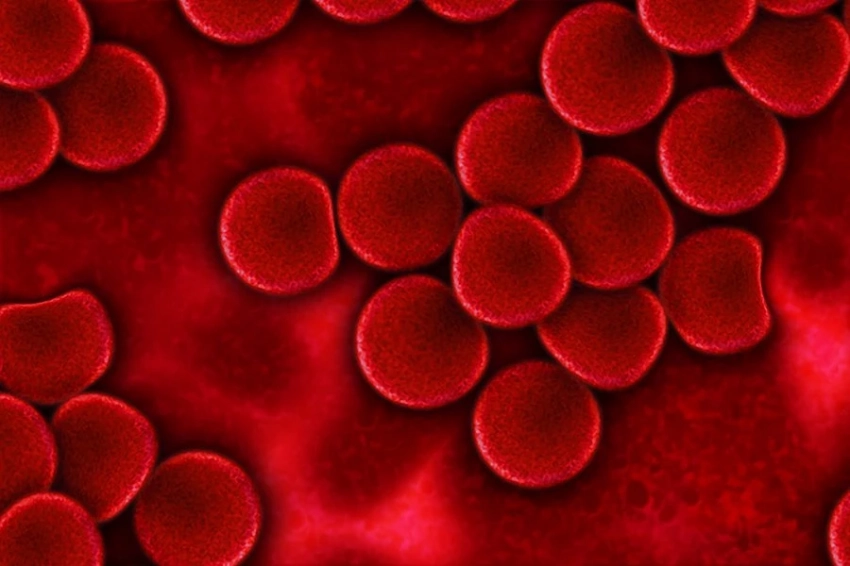 Диета с высоким содержанием клетчатки может помочь замедлить развитие рака крови