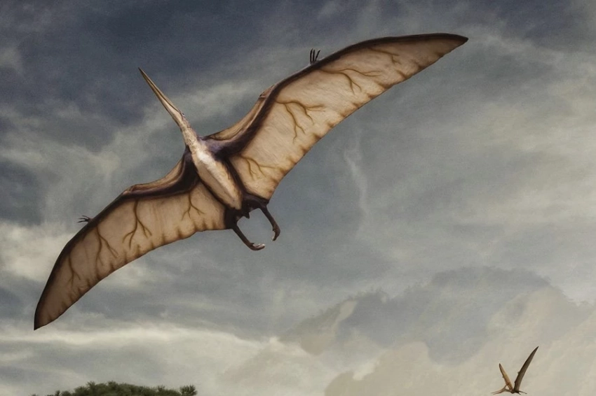 Новый вид птерозавров из Аргентины является самым ранним в своем роде