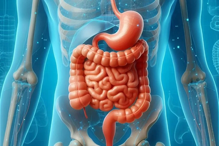 Ученые установили связь между микробиотой кишечника и психическим здоровьем