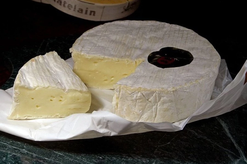 Neuroscience Research: компоненты сыра камамбер улучшают память и обучение