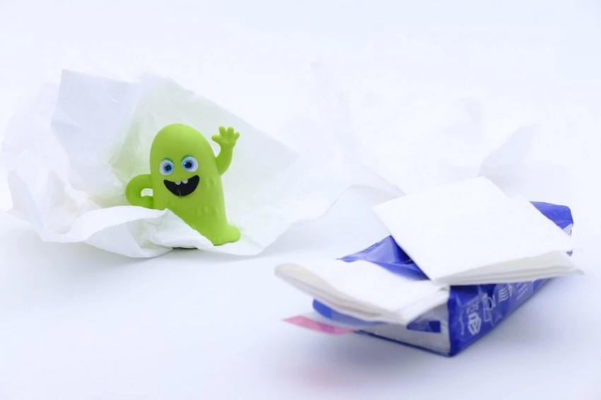 Тропики как источник новых штаммов гриппа: исследование ученых