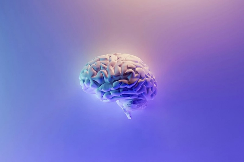 Диета с высоким содержанием жиров связана с изменениями в мозге