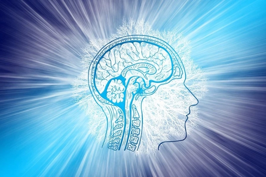 Психологический профиль может указывать на снижение когнитивных способностей