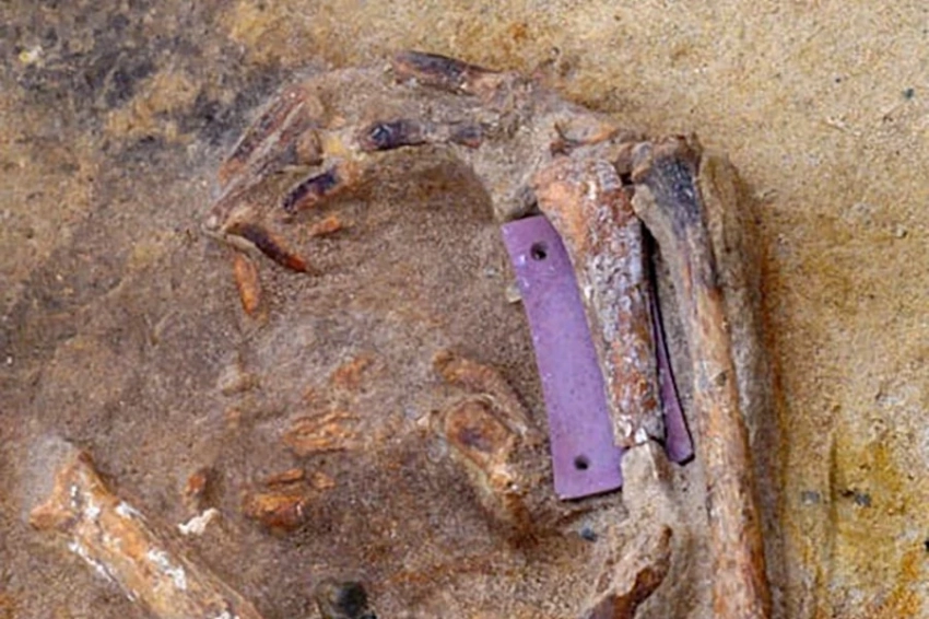 4500-летние могилы воинов нашли в Германии