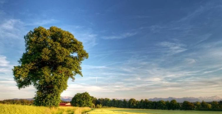 Традиционно на Евтропиев день, 16 марта 2025 года надо подготавливать поля к посеву