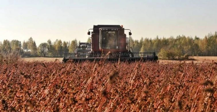 День Герасима-грачевника 17 марта 2025 года славится стародавними приметами и традициями