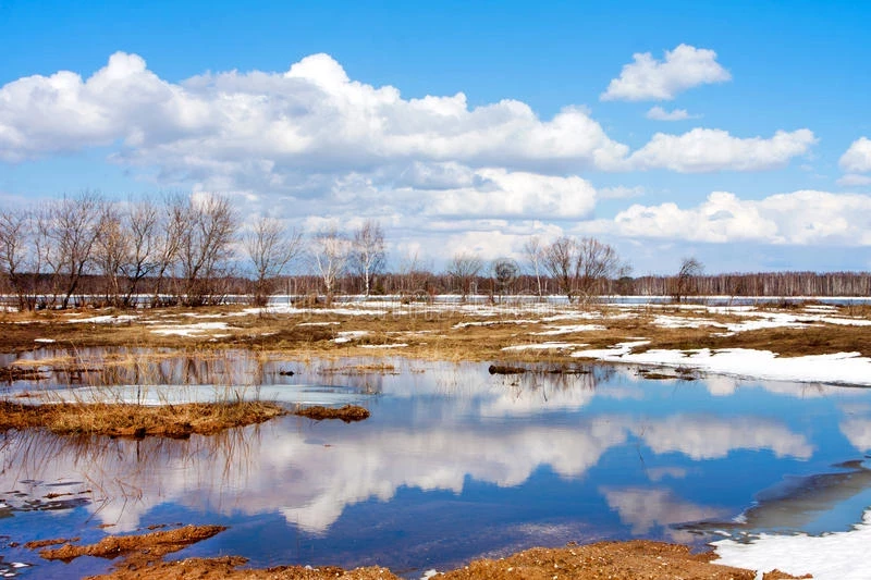 Приметы и поверья на 4 апреля 2025 года подскажут, почему в этот день не стоит громко петь