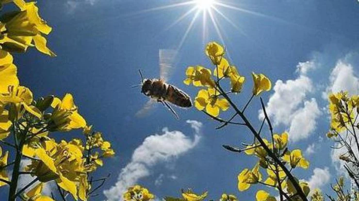 Приметы и поверья на 15 апреля 2025 года расскажут, что можно и нельзя делать в этот день