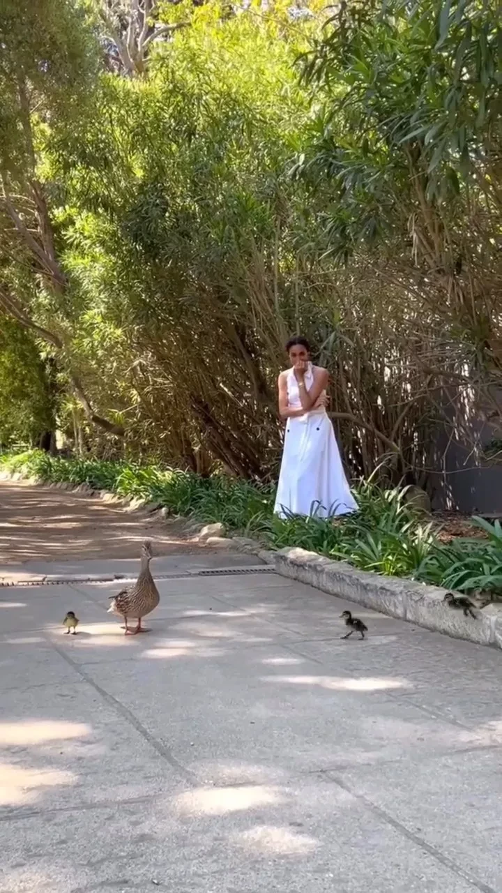 "Уволить всю пиар-команду". Меган Маркл раскритиковали из-за "постановочного" видео с утятами