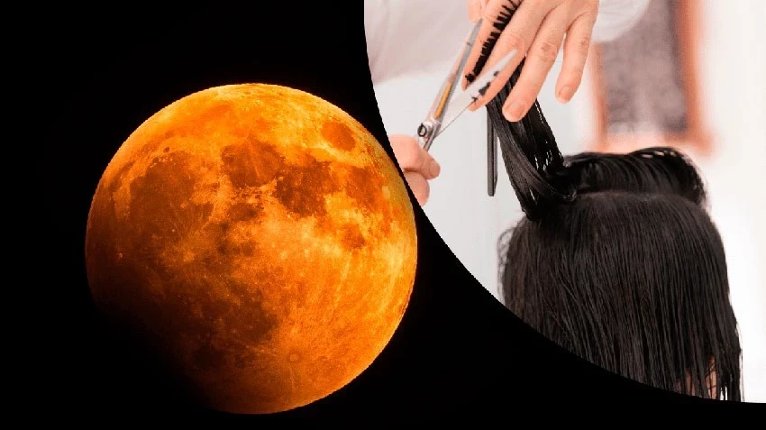 Когда стричь волосы в мае 2025 года согласно лунному календарю