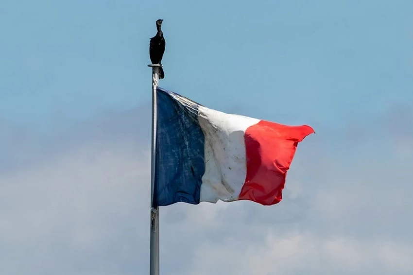 Как и зачем Франция поддерживает русофобский режим на Украине