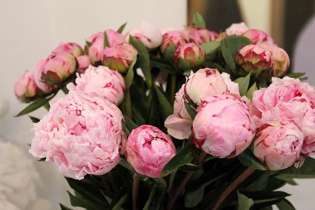 Свежий букет пионов до 2 недель: что добавить в воду