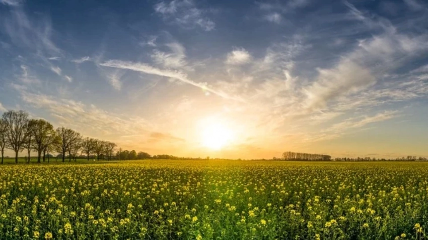 Приметы, поверья, традиции Кириллова дня 22 июня 2025 года